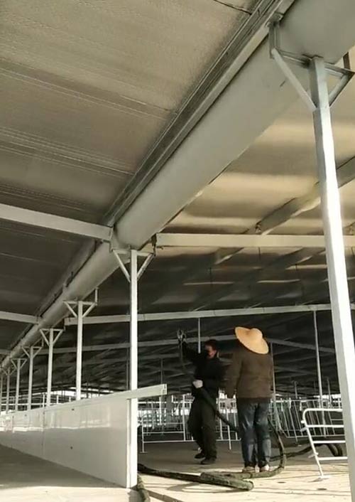 鋼結構彩鋼瓦保溫聚氨酯噴涂(圖1) 養殖場鋼結構彩鋼瓦保溫聚氨酯噴涂